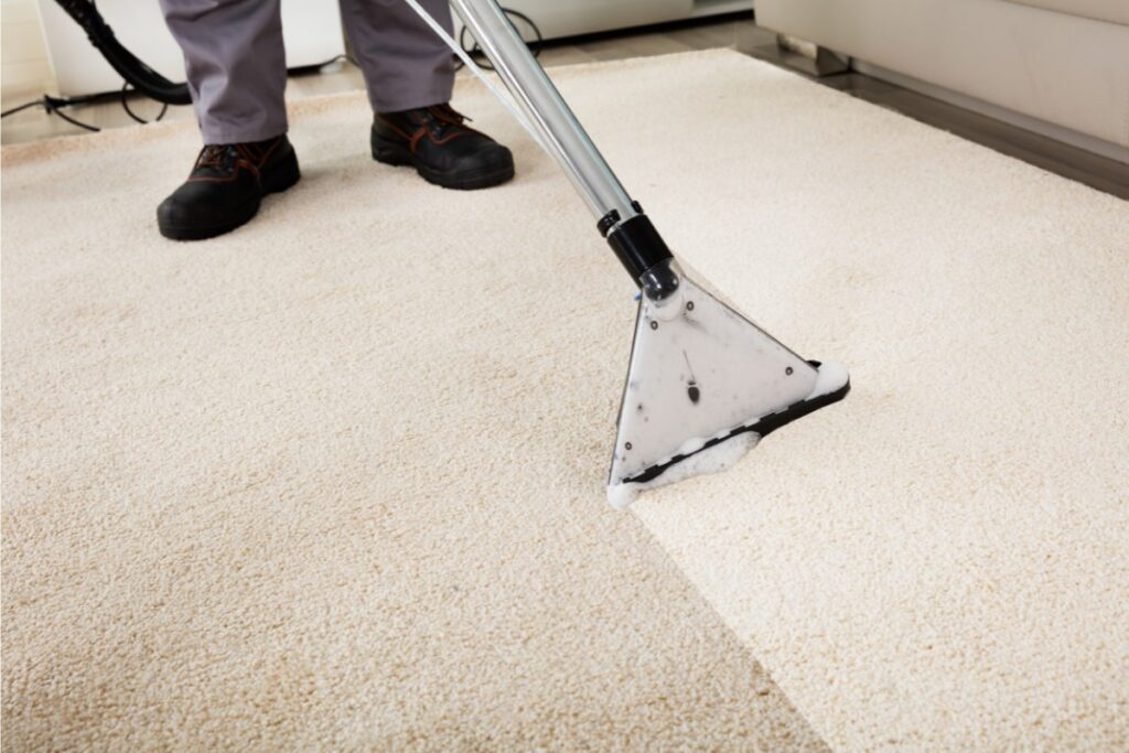 Carpet Cleaning Company Near Me