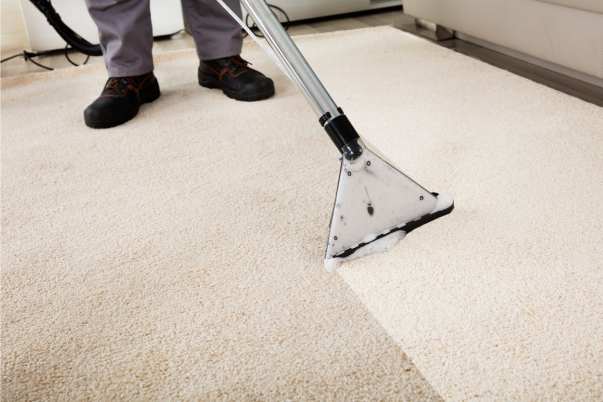 Area Rug Cleaning Services Near Me