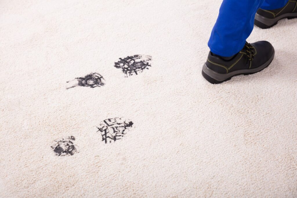 Carpet Stain Cleaning