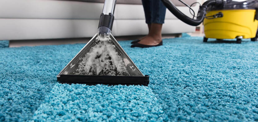 Hoover Carpet Cleaning