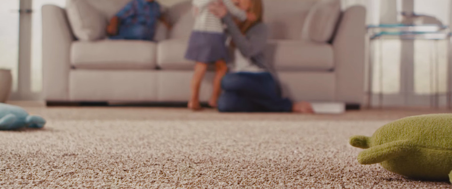 Area Rug Carpet Cleaning