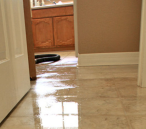 technician performing water extraction cleanup