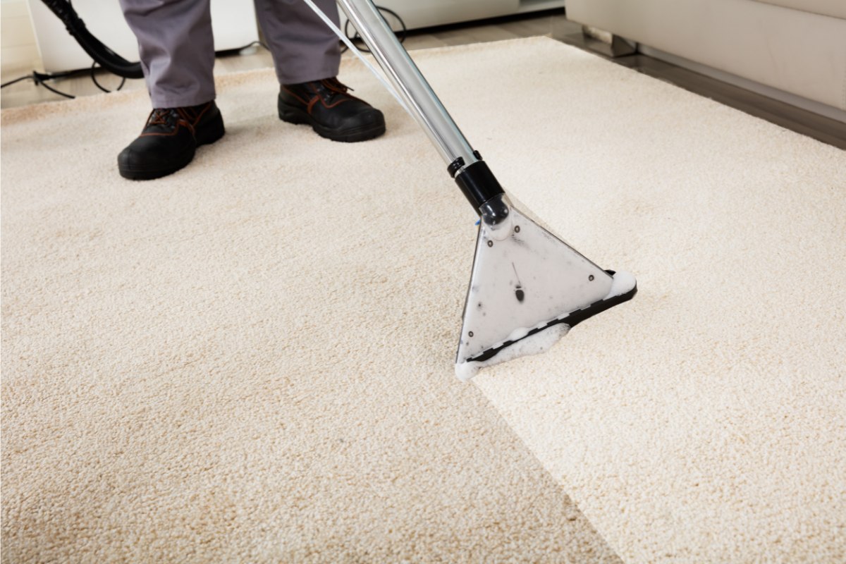 steam carpet cleaning service in Rockwood Tennessee removing allergens and deep soil